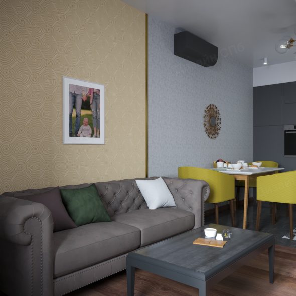 деление пространства в модернизированной городской квартире