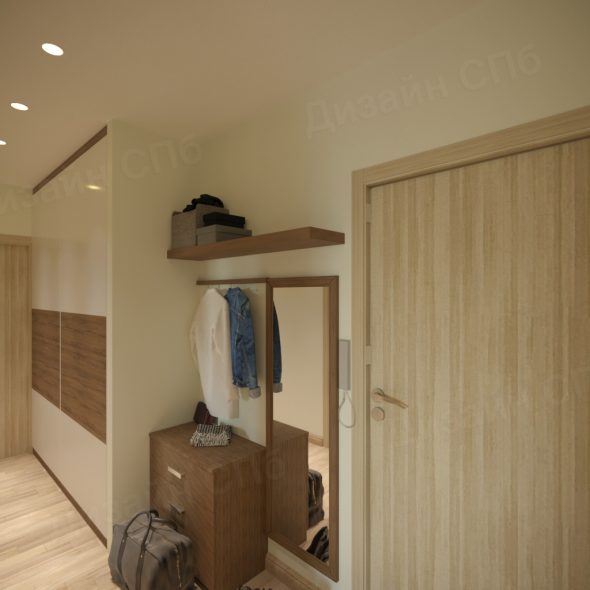 прихожая и межкомнатное пространство двухкомнатной квартиры дизайн